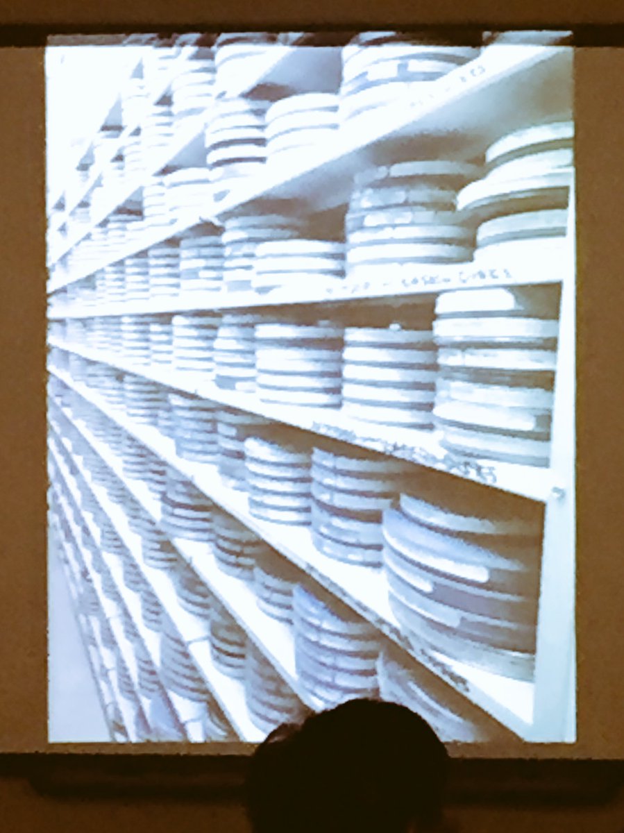 LiamJarvis's tweet photo. 'What happens when the body meets the archive?' Can the digital archive be translated through the body? #Tapra2017Tech @ijpadm https://t.co/pl2ydEMTSg