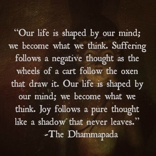 The Dhammapada tweet media