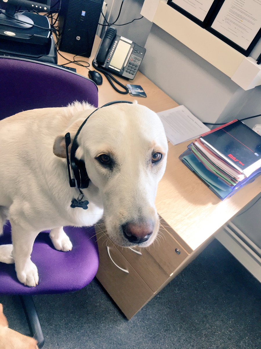 almproducts's tweet photo. Good Afternoon, ALM Oscar Speaking #FamilyBusiness https://t.co/61ylQBYyZV