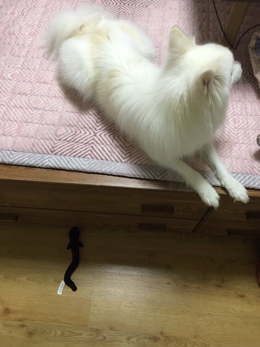jogabi__'s tweet photo. 넌 손이 없냐 발이 없냐^^!!!!!!!! https://t.co/Nf9FgCZhe0