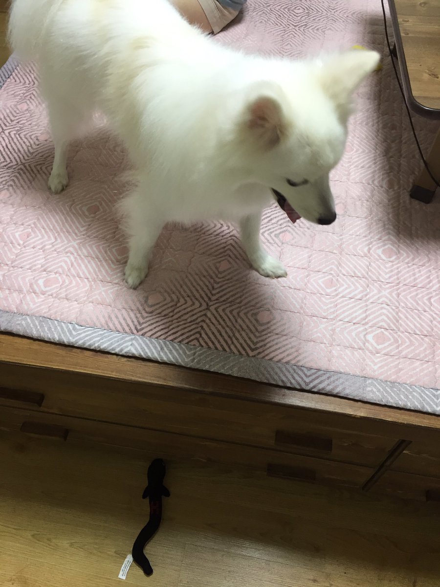 jogabi__'s tweet photo. 넌 손이 없냐 발이 없냐^^!!!!!!!! https://t.co/Nf9FgCZhe0
