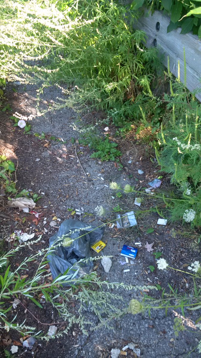 EtobMimicoCreek's tweet photo. Looks like we have some work to do on Sept 30th. Join us for our Watershed Wide Cleanup at Marie Curtis park https://t.co/k9gAbc5LXK