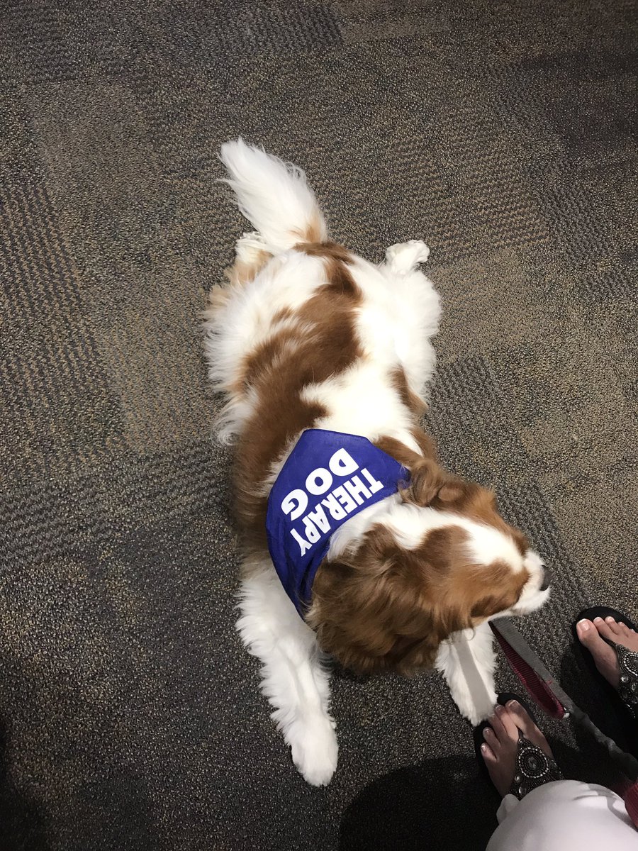 Student Life tweet media