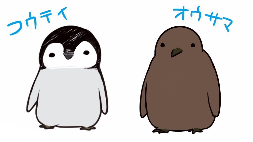 皇帝ペンギンのペンペン Pa Twitter 皇帝ペンギンと王様ペンギン 似ているけどヒナの姿はかなり違う コウテイペンギン ペンギン オウサマペンギン Penguin 豆知識 生物