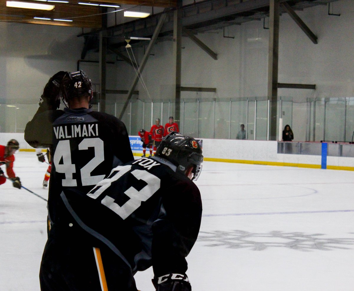GreasyGrinder's tweet photo. FlamesNation Top 20 Prospects: #4 Adam Fox https://t.co/jJhrL2Tpz0 https://t.co/dtFXgqnXyh