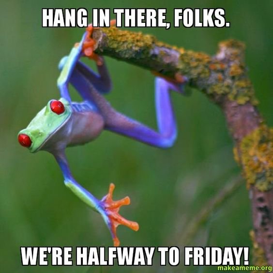 LLRSuzanneRenee's tweet photo. Good morning beautiful ladies! Have a great day! Show me how you're Roeing! 🐫🐪🤣 https://t.co/pnuobFsHMv