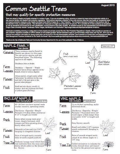 RootCauseLLC's tweet photo. Get local https://t.co/hy6N4FjI1R Here are some common #Seattle area trees! 
#TreeFacts #PNW #UpperLeftUSA https://t.co/qE7EwQmz4f