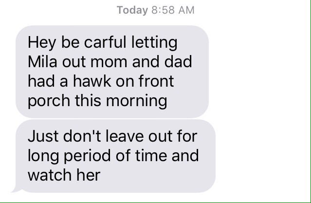 kvmollica's tweet photo. #farmlifeproblems https://t.co/FiMOlfr14O