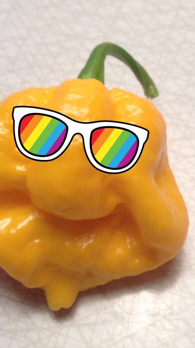 Ehrmagerd it's a Happy 7 Pot #homegrown by Karl Molin. Thanks Karl.