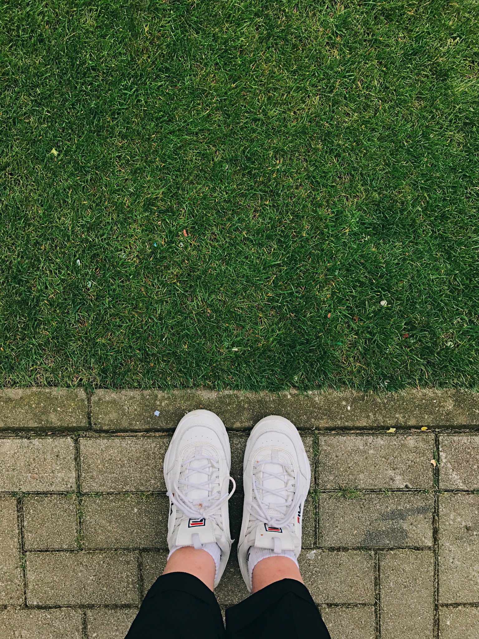 Lasagna Del Rey on Twitter "Der heilige Rasen. Betreten war