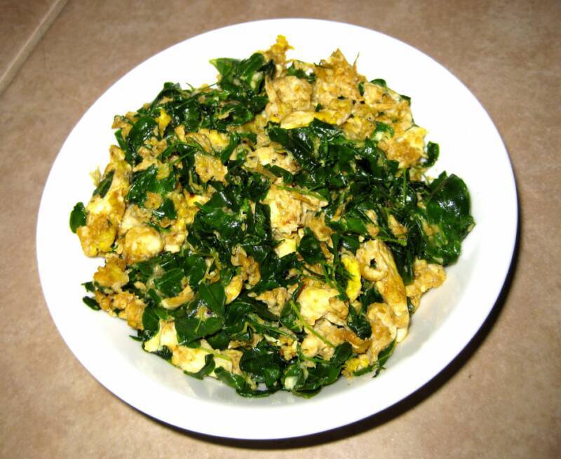 GreenGoldGh's tweet photo. Moringa Recipes – 1001 ways to eat and cook https://t.co/HpR3zpqaEQ https://t.co/Sq7OZFiE7U