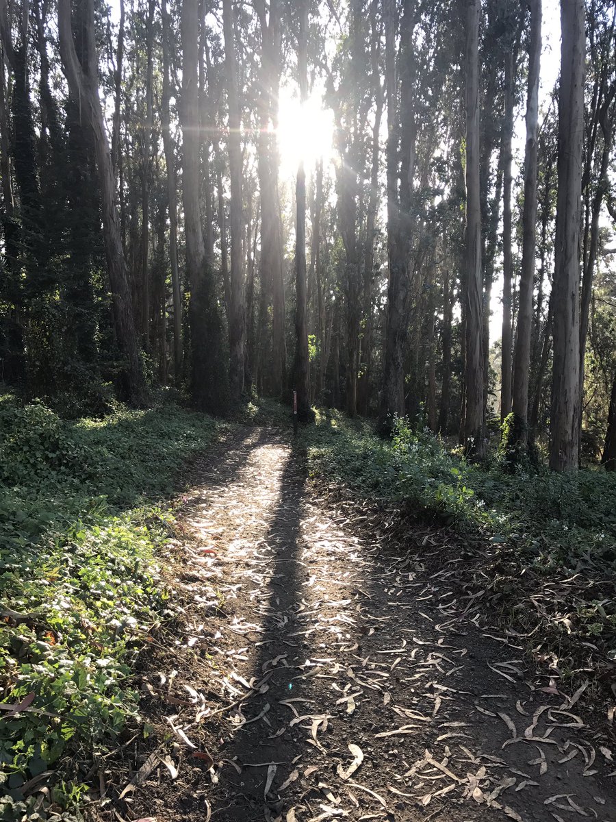SpringrApp's tweet photo. Fall is right around the corner 🍂 Get in those evening walk / runs and #green commutes while the ☀️ is shining! 🏃🏼‍♀️🚴🏽🌲#health #smartcities https://t.co/CGAAeMJRJB