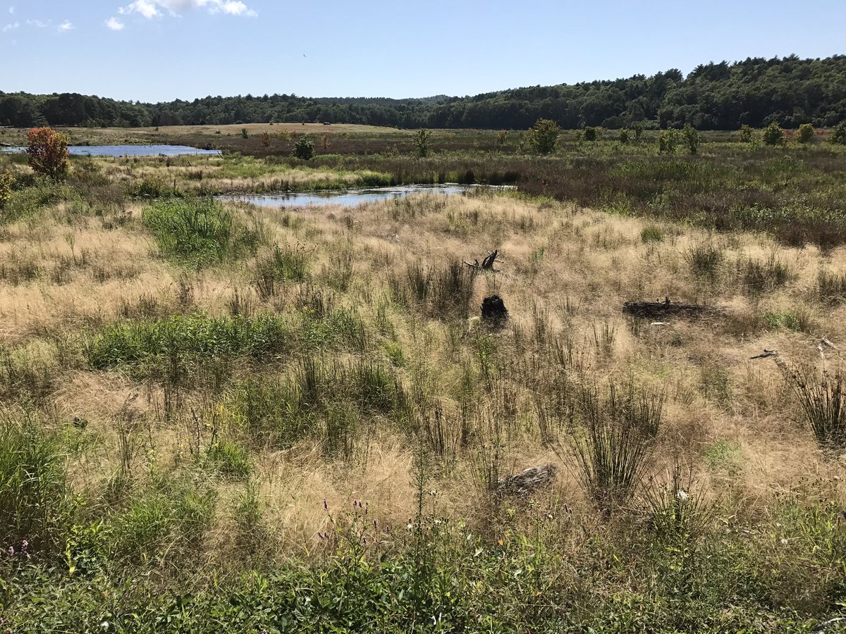 Jed Colquhoun tweet media