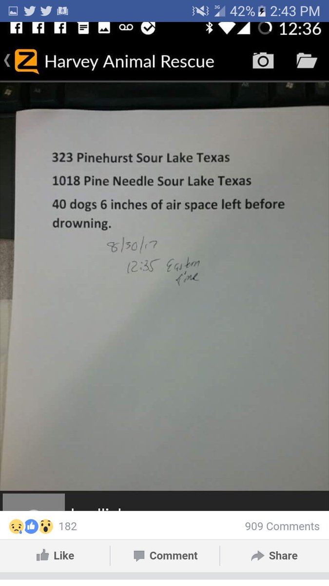 #HARVEYSOS 
#HARVEYANIMALRESCUE 
40 DOGS!!