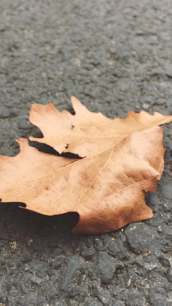 NEW | Berk Cankat InstaStory'den yeni bir fotoğraf paylaştı!