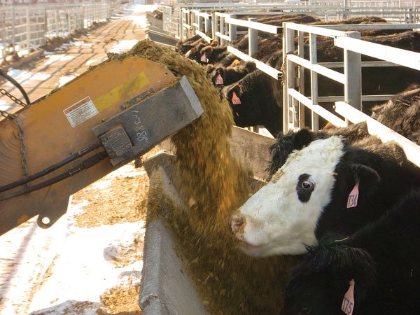 BNSTEM's tweet image. Learn how @IllinoisStateU
&amp;amp; @DESTIHLbrewery work together to benefit ongoing research: 
bit.ly/2x4HbUG
#BNStories #BNatWork #BNSTEM