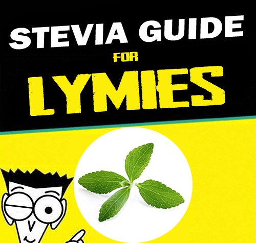 TickedOffFest's tweet photo. Stevie Guide for Lymies https://t.co/omosATkXey #lyme #LymeDisease https://t.co/8WyctFvqhi