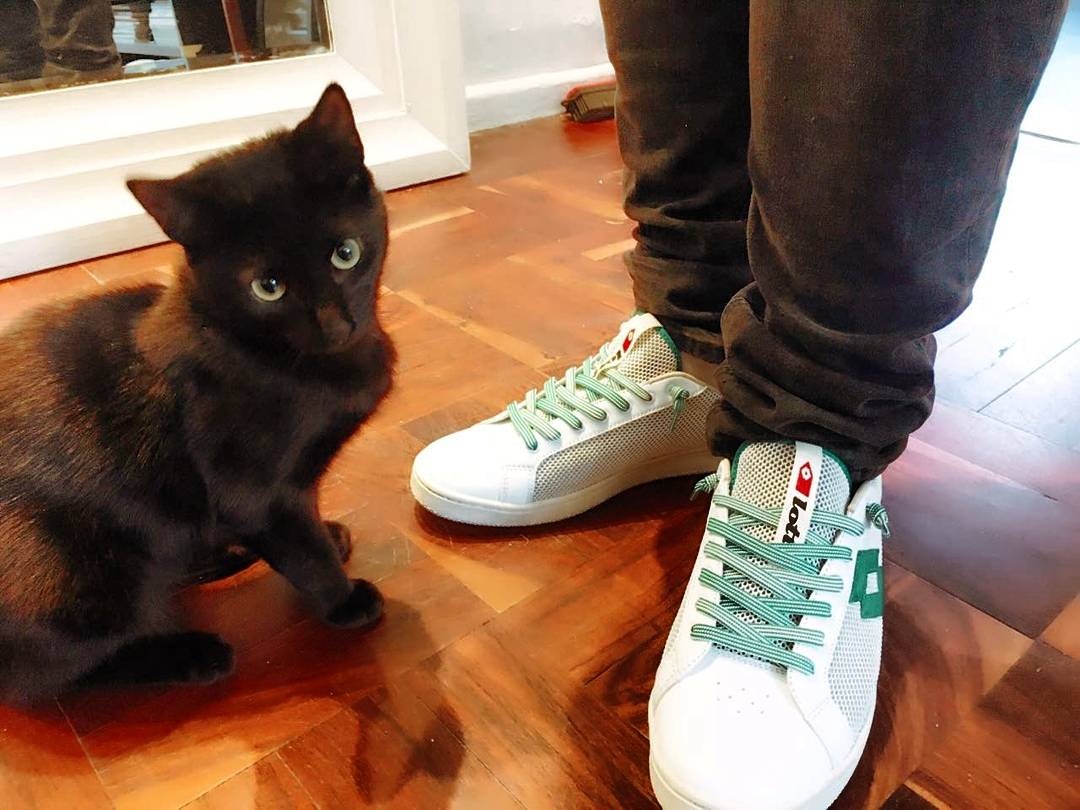 MyCityByNight's tweet photo. Get 20% off w/ @MyCityByNight on ANY sneakers online: https://t.co/2OI5VOsrS5 
FREE delivery &amp; FREE @Sneakerlab kit w/ 1st order. CODE: MCBN https://t.co/mUXNYTz3Np
