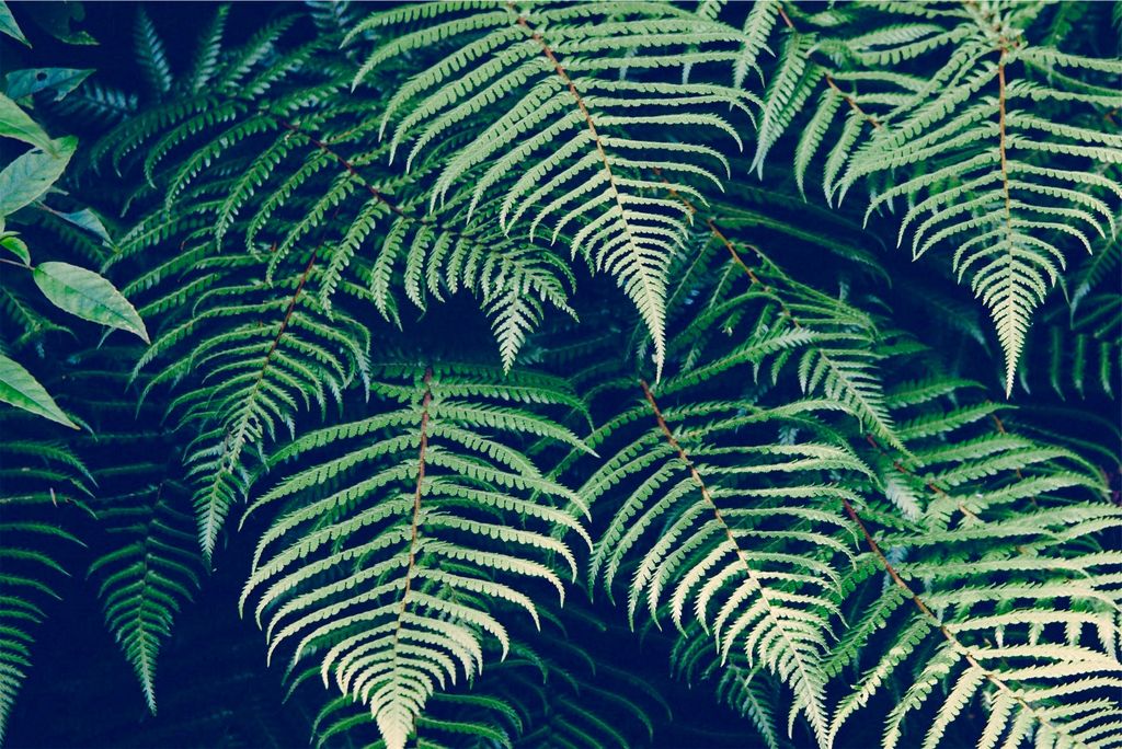 #travel #ttot #luxury