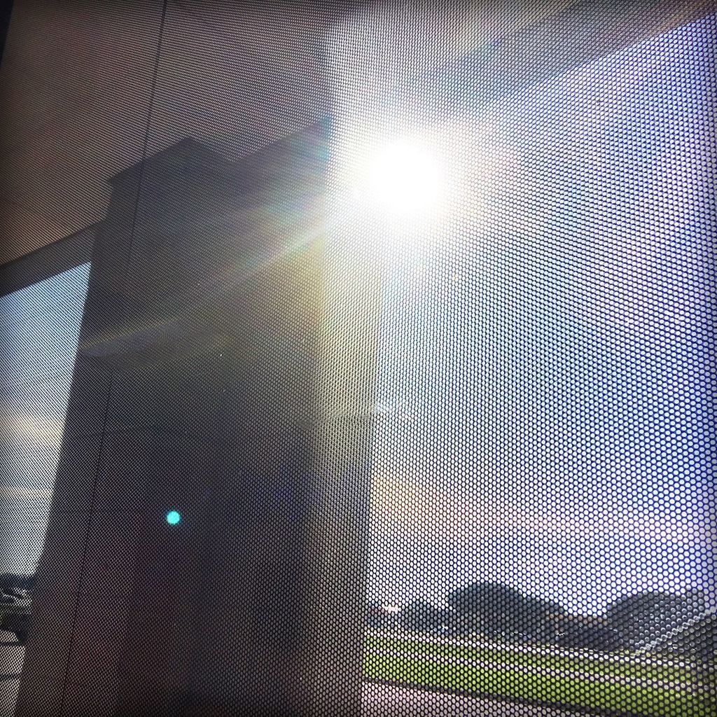 signExpress_'s tweet photo. The sunshine is back! 👍 
#SunshineInTexas https://t.co/YRlbtCDo61 https://t.co/pkqRSWUhIm