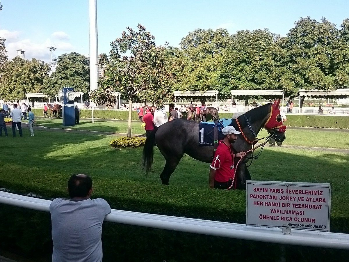 Zımba gibi maşallah BEST SPOT 💪