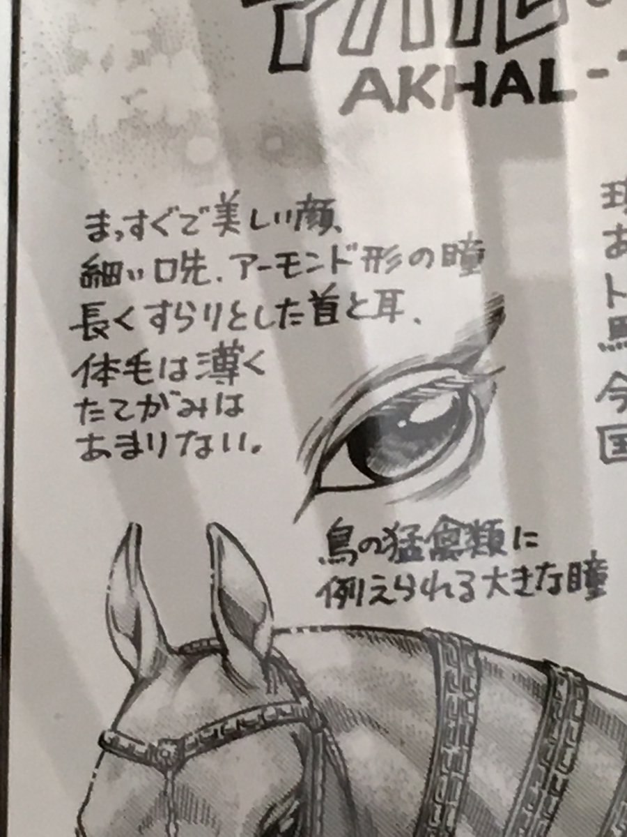 個人的には、森先生といえば、馬の上手さ。 余りないなぁと思ってい