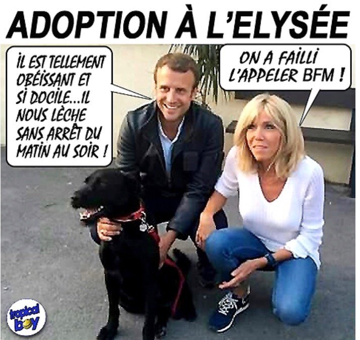 belindageoly's tweet photo. Adoption à l'Elysée... https://t.co/h93d4qcms8