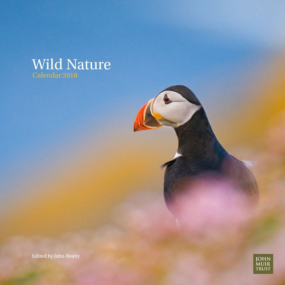 Introducing the new Wild Nature Calendar 2018, cover Puffin by #AndrewParkinson wild-nature.co.uk/photographers/…. On sale now wild-nature.co.uk