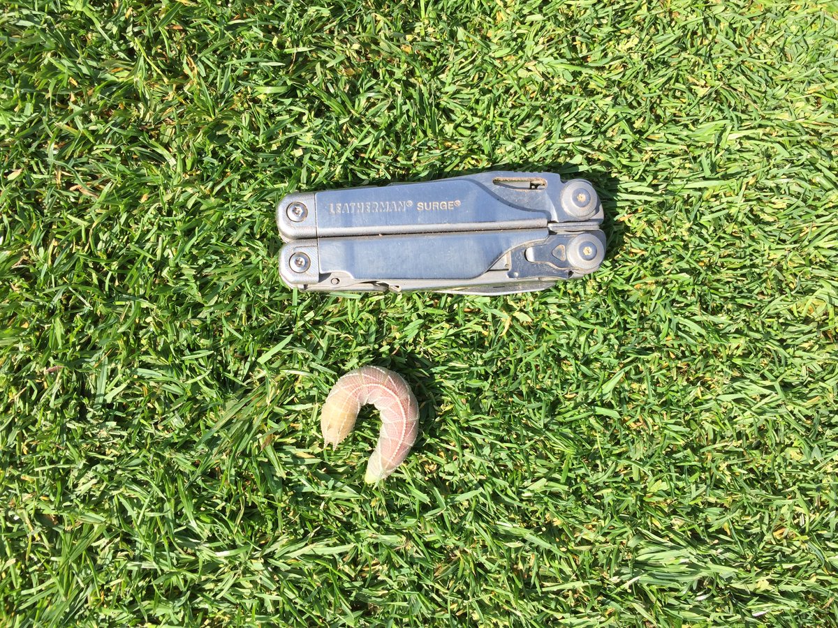 SCCGolfCourse photo