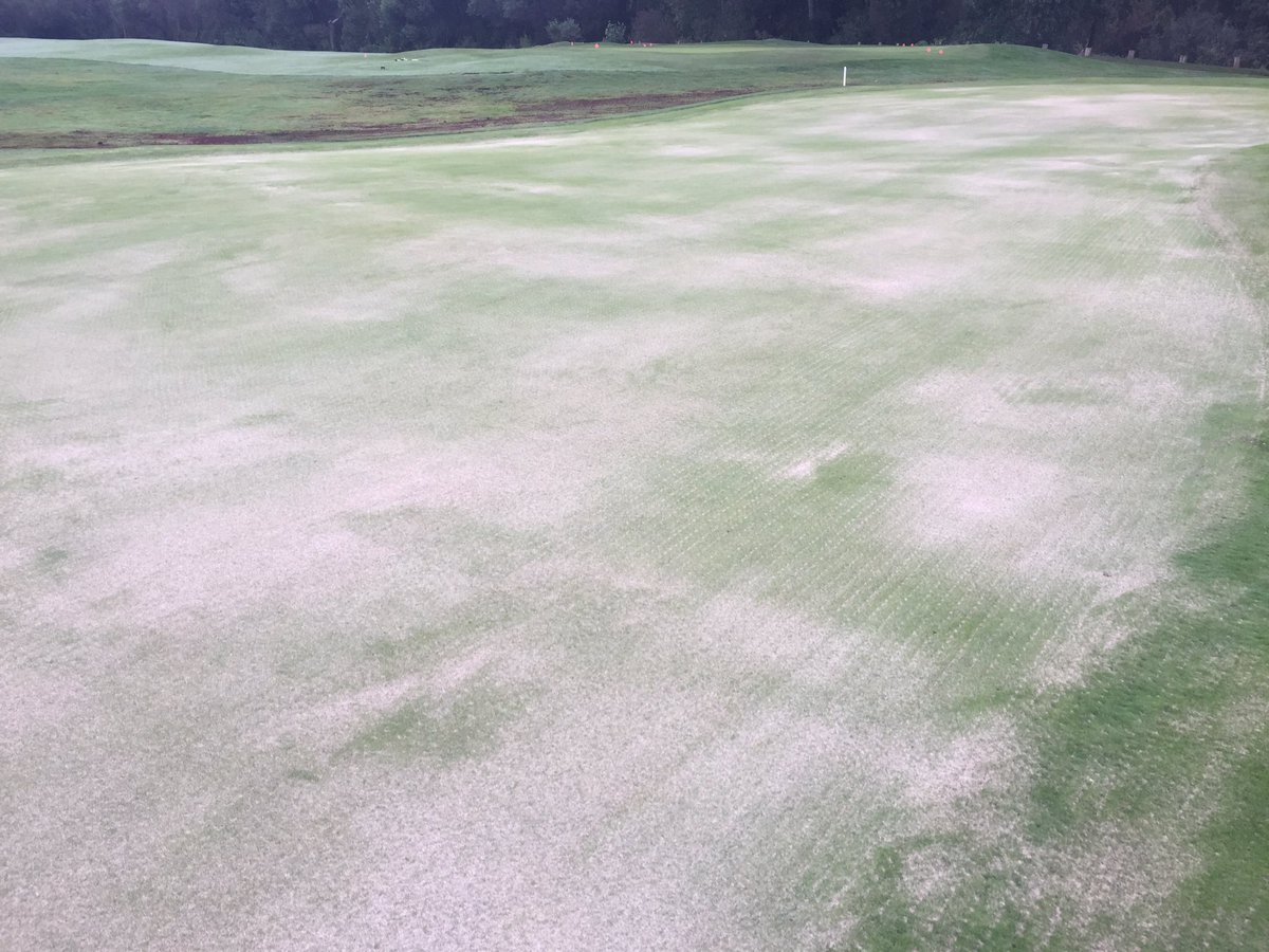 golfdinosaurrr's tweet photo. Remember #FramMan ? Pay me now or pay me later. There he is! My GC Supt Kerr. Aerifying & sand topdressing👍 @GCSAA https://t.co/EBZRucXlzF