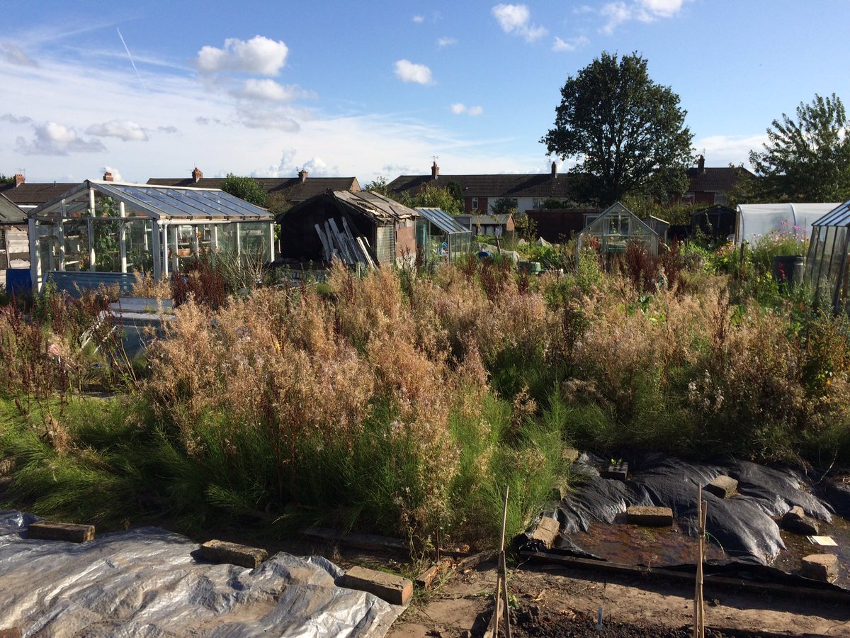 secret_yardens's tweet photo. Not bad for a few hours out in the sunshine. 2 beds cleared and covered. But a lot still to do. #Plot5 https://t.co/XWjdhjOkTY