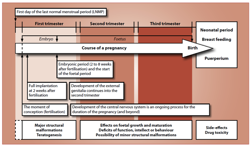 sasocp's tweet photo. Stages we need to know #clinpharm @SAOCP https://t.co/heID6i9xet