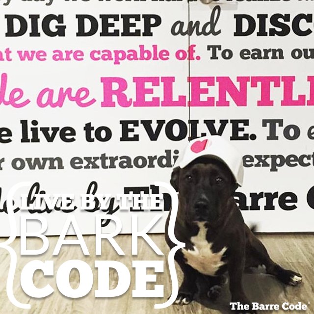TFW even your pup wants to be a part of our community? We get that. Be sure to tag your photos with #LiveByTheBarkCode!