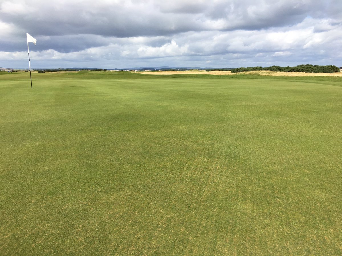 Berry97's tweet photo. All the hard work from the #Eden team starting to show #consistency#light&frequent @ReesinkScotland @BarenbrugUK @TheHomeofGolf @BIGGALtd https://t.co/5f7PDZBSby