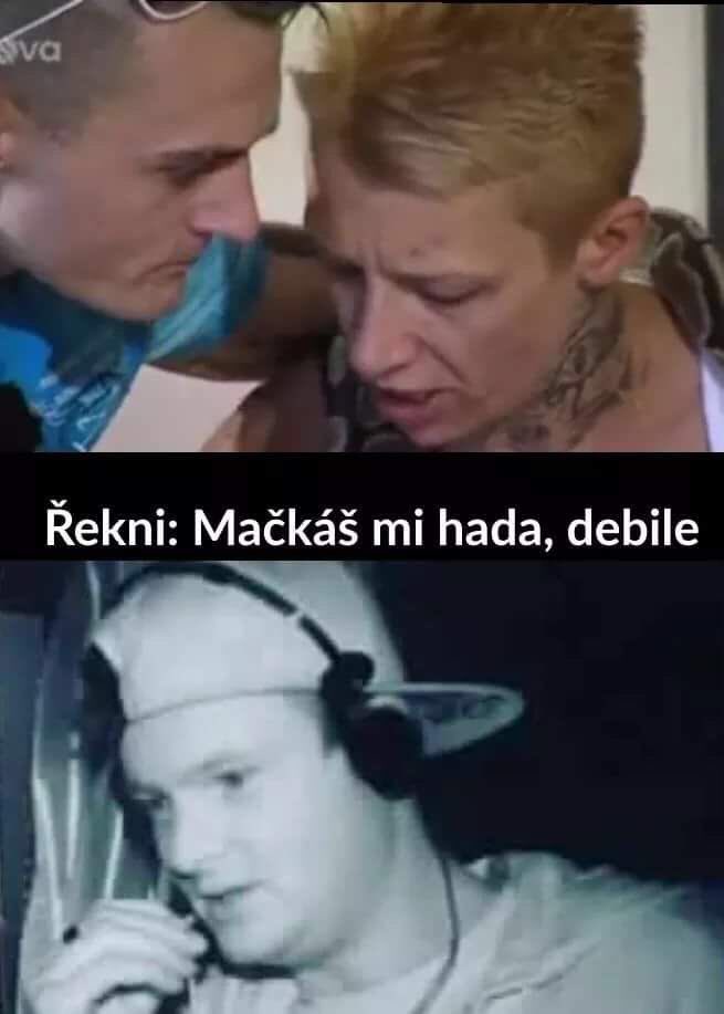Kazma_Kazmitch's tweet photo. Přísahám, že jsem tyhle smažky v životě neviděl. https://t.co/WHhfrj1ILV