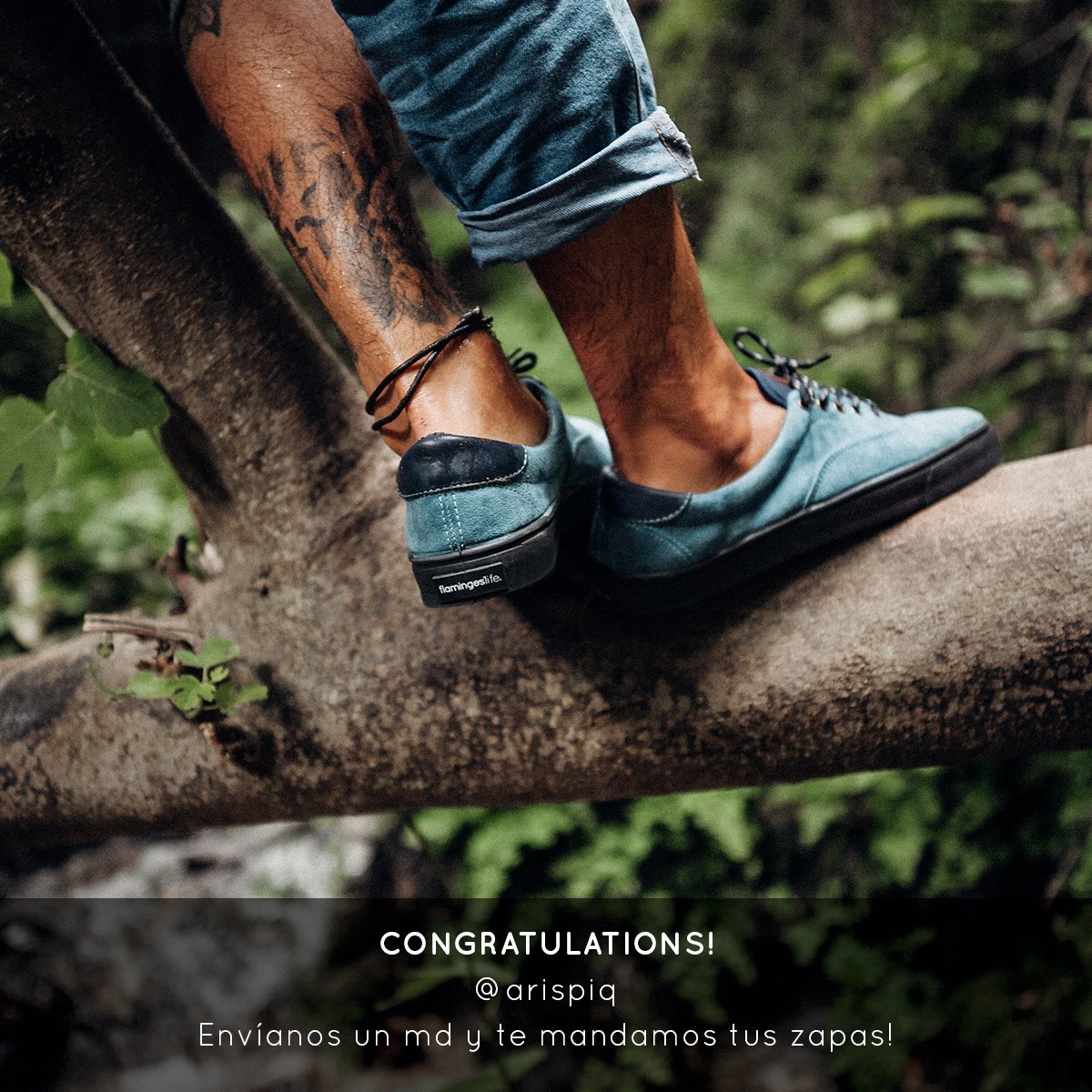 Congratulations ! 😁
@arispiq 
Envíanos un md y te enviamos tus zapas!
#flamingoslife #GoVegan #eco #CrueltyFree