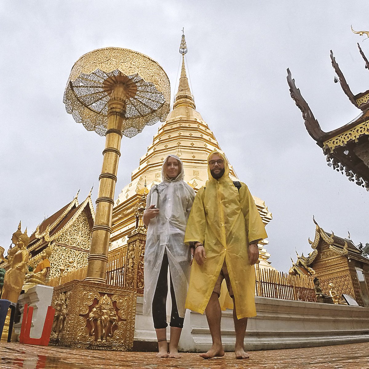 kohlundkarma's tweet photo. #WatPhraThatDoiSuthep in #ChiangMai ist auch bei Regen beeindruckend 🌧💦
#weltreise #whatvegansdo #wanderlust #wewanderasia https://t.co/lVXHDdmxLo