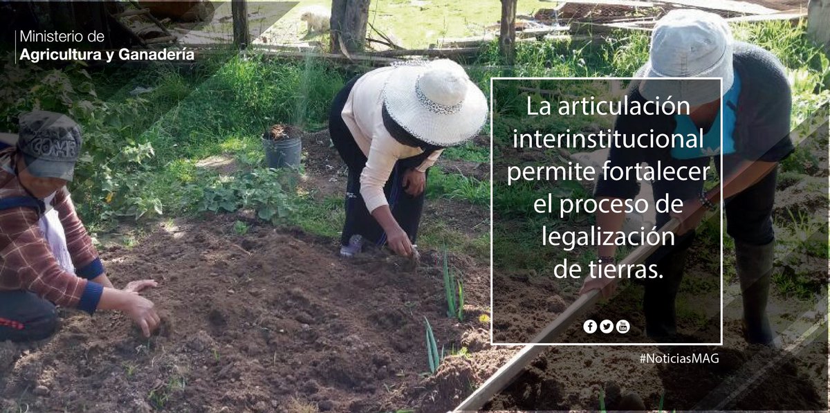 Un eje de la Gran Minga Agropecuaria es la legalización de tierras. Se prevé la entrega de 300.000 títulos de propiedad #TierraParaTodos