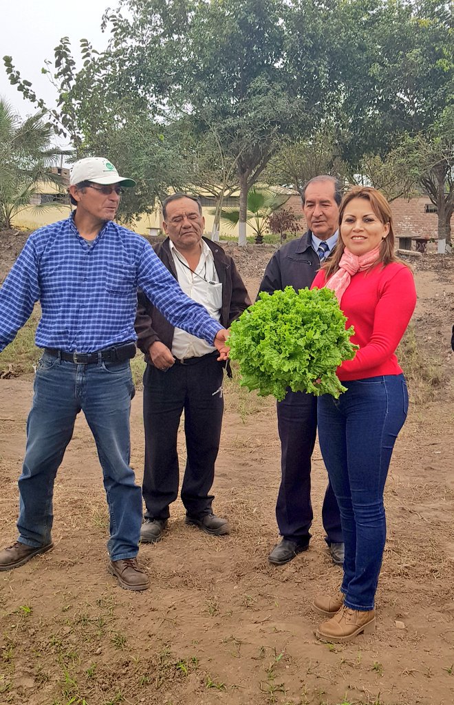 GladysAndradeSA's tweet photo. El #Perú 🇵🇪 es #agricultura #CultivOrgánico #LimaProvincias #IESTP #Cañete 👍👏
#FPenTodoElPerú 🇵🇪 https://t.co/k68E2A8kpe