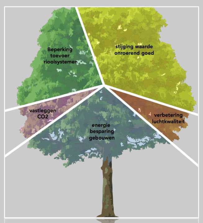 Wat doen bomen met dit weer? Water slurpen. Ontlasting rioolsystemen. A'dam 300.000 bomen x gem. 300 ltr = 90 miljoen ltr. p/dag <a href="/iTreeTools/">i-Tree</a>