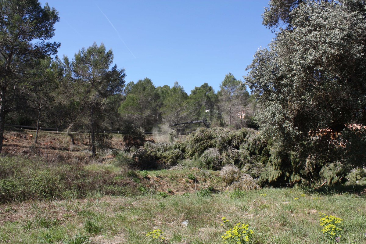 Diputació de Barcelona tweet media