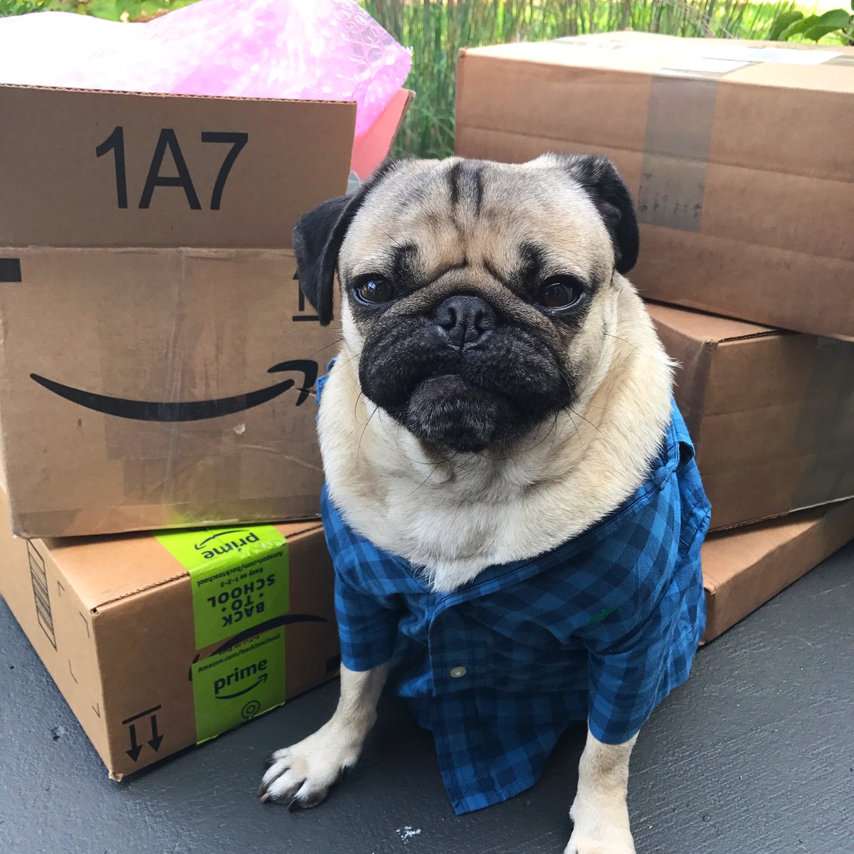 When someone says u have an online shopping addiction