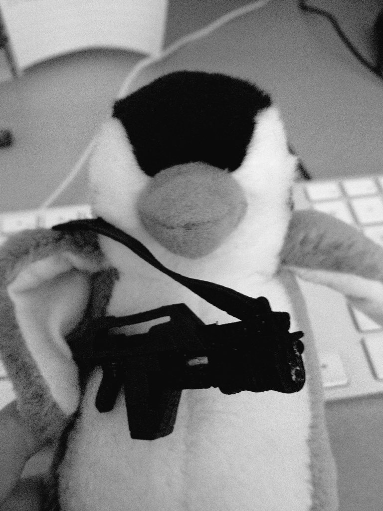 gavingsmith's tweet photo. @GrondinwhoopFre @EdwardCox10 He's called TP, he fights Nazis with an axe and yes that's a Pulse Rifle. #badasspenguin https://t.co/nAQBDBYkBn