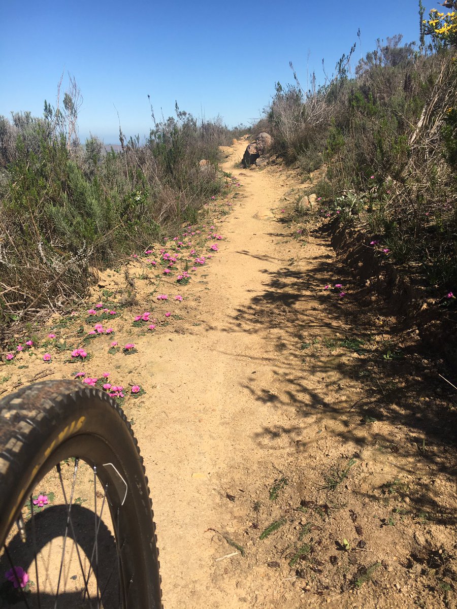 Sunday 3 Sept #enduro coming up! Enter by tomorrow. Four stages on #Delvera #trails #letsride #training3Ezel #Spring #weekend #baarp