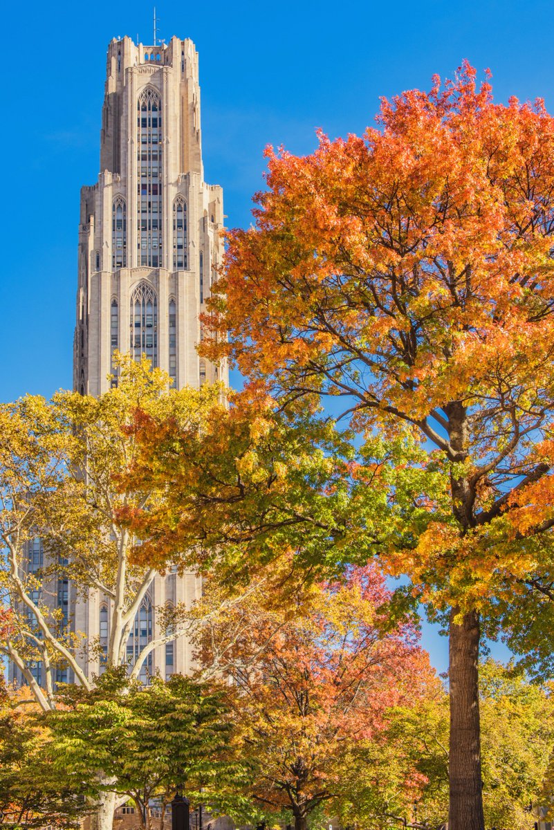 DaveDiCello's tweet image. Anywhere in #Pittsburgh looks great in the fall, but Pitt's campus always looks especially beautiful surrounded by the vibrant, warm colors