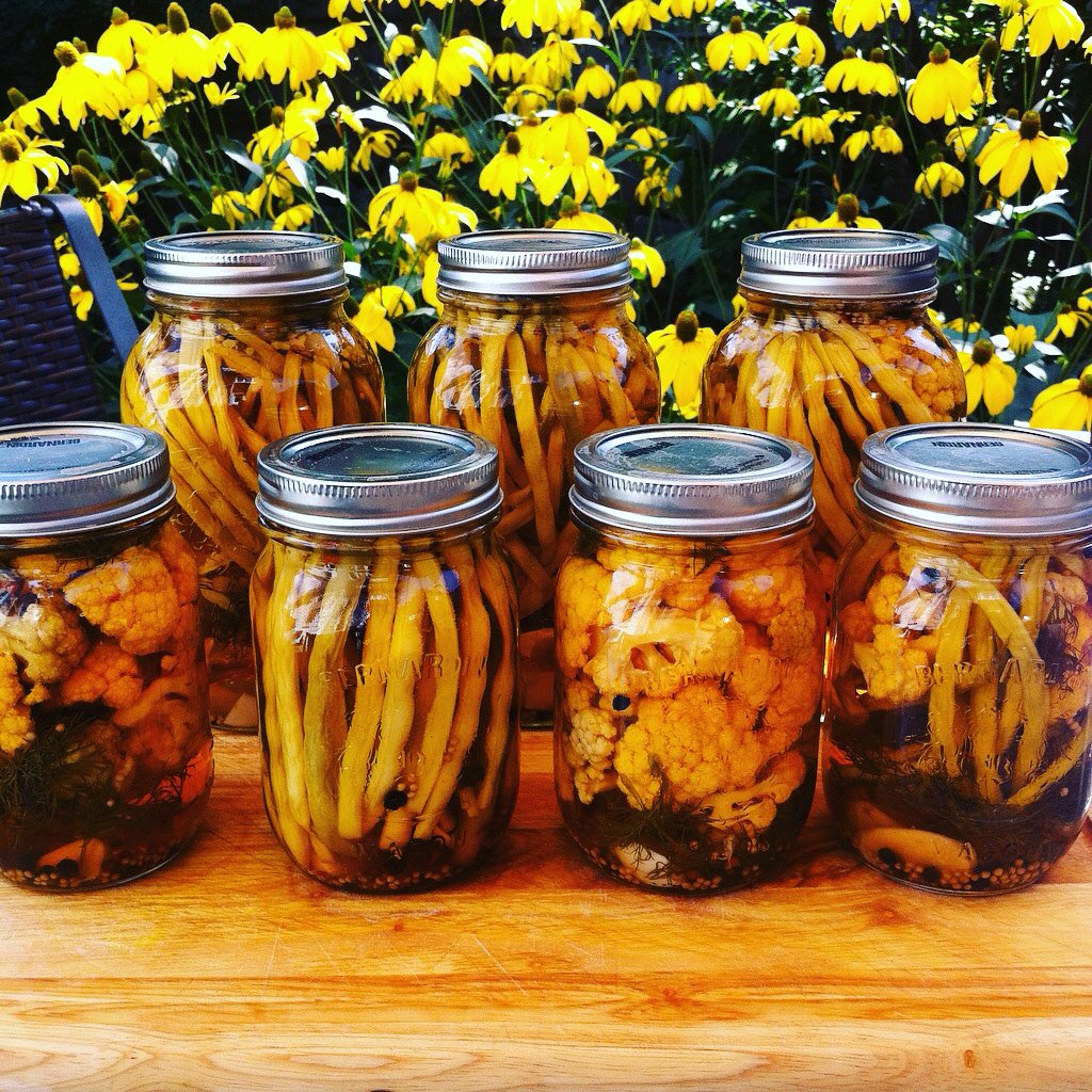 The Rex will be closed until Tuesday September 5th, so we can enjoy the sun! And do a little picklin.....