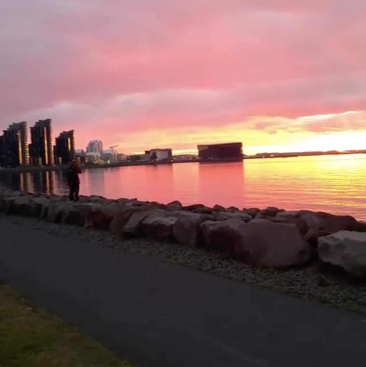 WSC_2017's tweet photo. The World Seafood Congress is just around the corner! #WSC_2017 #WSCIceland A sneak peek at the venue location #Harpa :) #iceland #reykjavik https://t.co/trsRJL0xLw