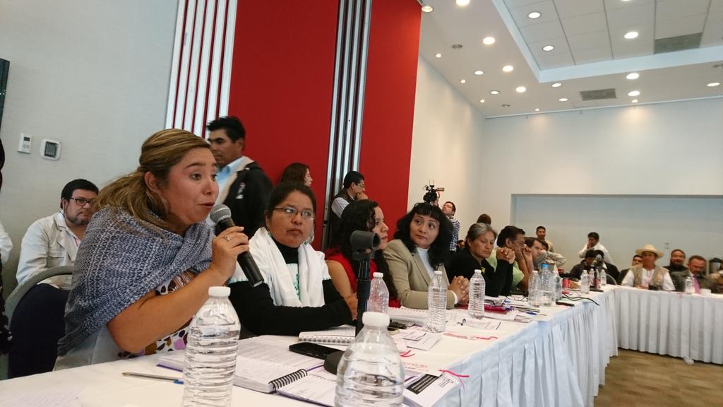 Nayiten's tweet photo. La #ANPMI hace un recuento de lo que ha sido nuestra #Lucha. De la deuda histórica pasar a sujetos de #Derecho. @ISBeauvoir @CN_MujeresI https://t.co/TLHIbb2GzL
