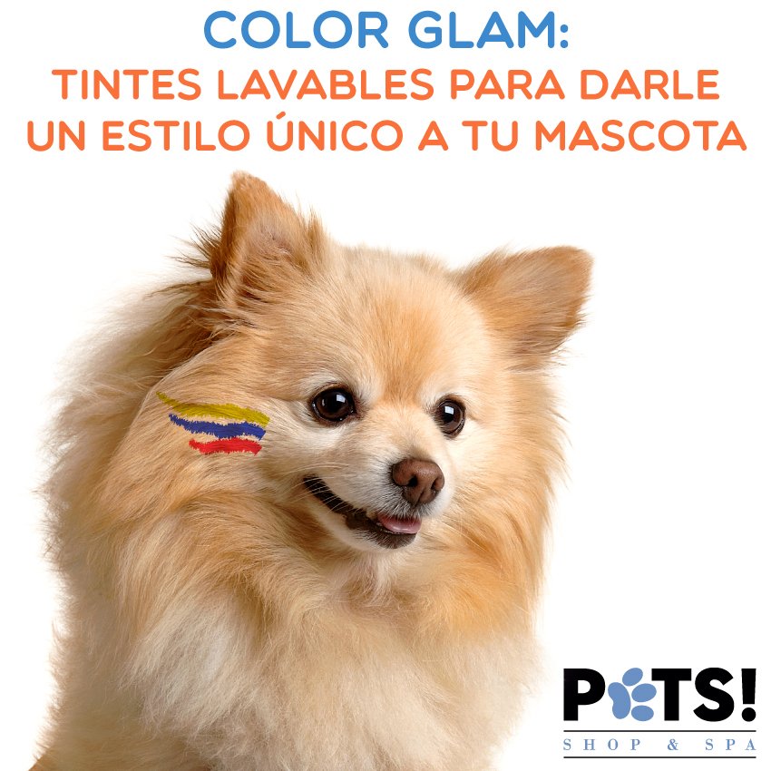 PetsShopandSpa's tweet photo. ¿Ya preparaste a tu peludo para el encuentro de mañana contra Venezuela? Hazlo posible con nuestro servicio de #ColorGlam https://t.co/WfXNzN4osI