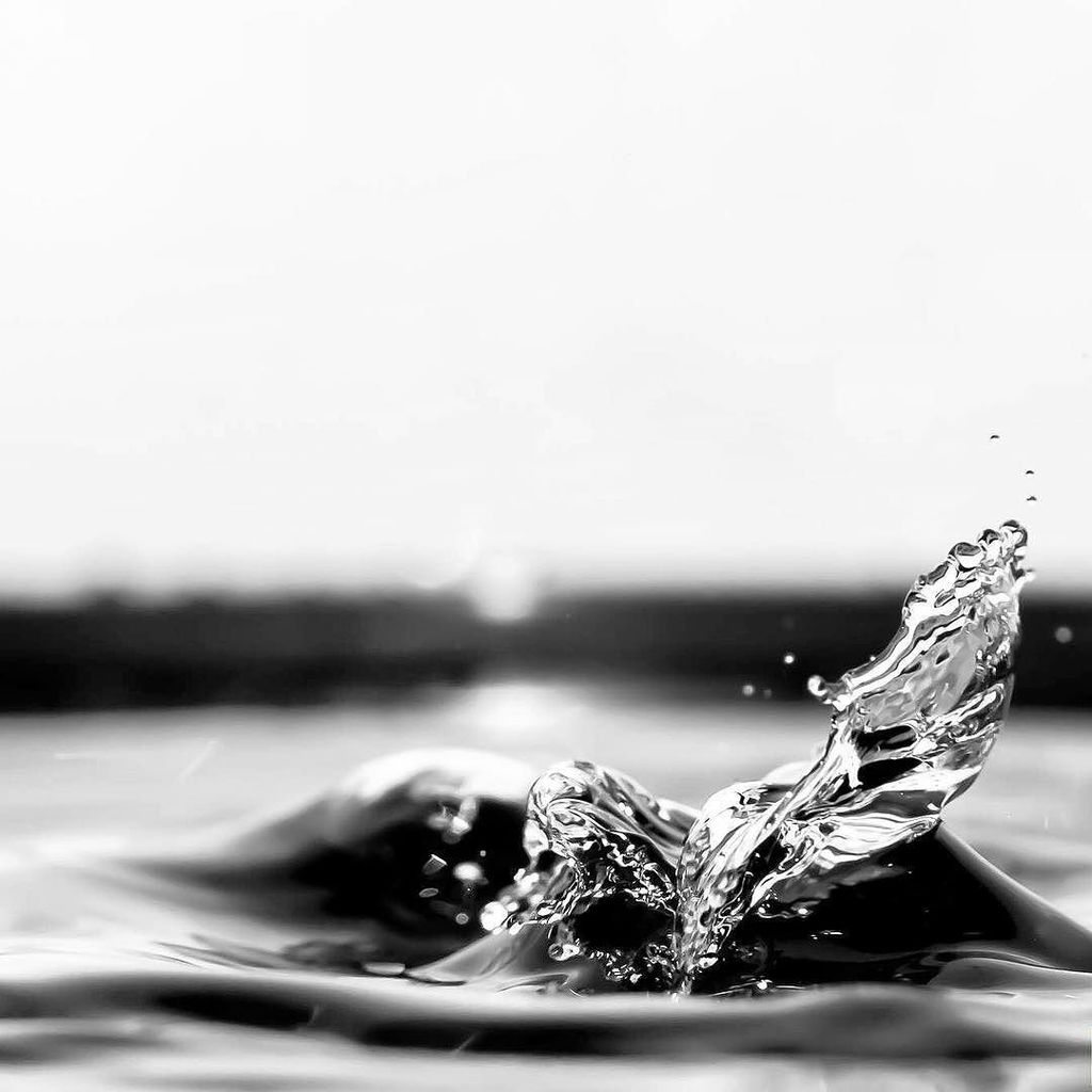 davidfillion's tweet photo. High speed water drop shoot from last year
#waterdrops #water #💧 #highspeedflash #highspeed #blackandwhite #bw #b… https://t.co/v9KAk7q4F9 https://t.co/elELbtFExX